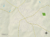 Political Map of Woodruff, SC Photo