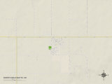 Carte politique de North Eagle Butte, SD Posters