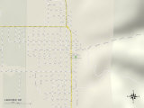 Political Map of Lakeview, OR Prints