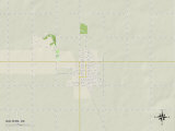 Political Map of Walters, OK Posters