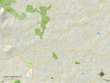 Political Map of Wade Hampton, SC Posters