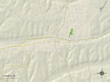 Carte politique de Waverly, TN Affiche