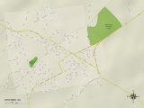 Political Map of Whitmire, SC Print