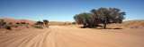 Tire Tracks in an Arid Landscape, Sossusvlei, Namib Desert, Namibia Reprodukcja zdjęcia autor Panoramic Images