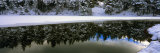 Reflection of Fir Trees in a Lake, French Riviera, Provence-Alpes-Cote D'Azur, France Lámina fotográfica por Panoramic Images Reflection of Fir Trees in a Lake, French Riviera, Provence-Alpes-Cote D'Azur, France Lámina fotográfica por Panoramic Images