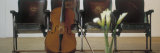 Cello Leaning on Attached Chairs Photographic Print by Panoramic Images 