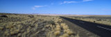 Desert Road Passing Through the Grasslands, Namibia Fotografie-Druck von Panoramic Images 