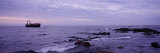 Shipwreck in the Sea, Namibia Photographic Print by Panoramic Images 
