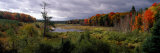 Trees in a Forest, Ottawa National Forest, North Woods, Upper Peninsula, Michigan, USA Photographic Print by Panoramic Images 