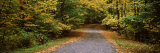Road Passing Through Forest, Chestnut Ridge County Park, Orchard Park, Erie County, New York State Photographic Print by Panoramic Images 