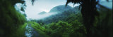 Path in a Rainforest, Cayo District, Belize Photographic Print by Panoramic Images Path in a Rainforest, Cayo District, Belize Photographic Print by Panoramic Images