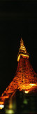 View of a Tower Lit Up at Night, Tokyo Tower, Minato Ward, Tokyo Prefecture, Japan Photographic Print by Panoramic Images 
