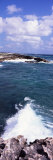 Rock Formation in the Sea, Cozumel, Mexico Photographic Print by Panoramic Images 