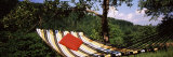 Hammock with Pillows in a Forest, Baden-Wurttemberg, Germany Photographic Print by Panoramic Images 