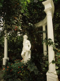 Statue in Garden, Magnolia Plantation and Gardens, Charleston, Charleston County, South Carolina Photographic Print