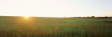 Sunset over a Landscape, Iowa County, Wisconsin, USA Lámina fotográfica por Panoramic Images Sunset over a Landscape, Iowa County, Wisconsin, USA Lámina fotográfica por Panoramic Images