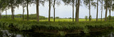 Channel Passing Through a Landscape from Brugge to Damme, Belgium Photographic Print by Panoramic Images 