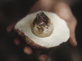 Close-Up of a Person's Hand Holding a Porcini Mushroom, Oregon Photographic Print