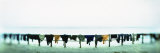 Clothes Drying at the Riverbank, Ganges River, Varanasi, Uttar Pradesh, India Lámina fotográfica por Panoramic Images