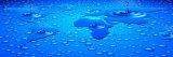World Map Formed with Water Drops Lámina fotográfica por Panoramic Images