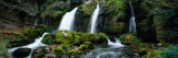 Waterfall in a Forest, Bastareny River, Berga, Barcelona, Catalonia, Spain Lámina fotográfica por Panoramic Images Waterfall in a Forest, Bastareny River, Berga, Barcelona, Catalonia, Spain Lámina fotográfica por Panoramic Images