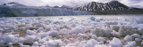 Ice Floes in the Sea with a Glacier in the Background, Norway Lámina fotográfica por Panoramic Images