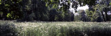 Flowers and Trees in a Garden, Garden of Lednice, Lednice, Moravia, Czech Republic Photographic Print by Panoramic Images 