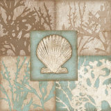 Coquillage II Art par Sally Ray Cairns
