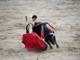 Matador and a Bull in a Bullring, Lima, Peru - Fotografik Baskı Matador and a Bull in a Bullring, Lima, Peru - Fotografik Baskı