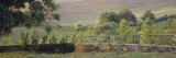 Fence in a Vineyard, Barbaresco Docg, Piedmont, Italy Lámina fotográfica por Panoramic Images Fence in a Vineyard, Barbaresco Docg, Piedmont, Italy Lámina fotográfica por Panoramic Images