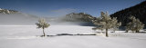 Trees on a Snow Covered Landscape, French Riviera, France Lámina fotográfica por Panoramic Images Trees on a Snow Covered Landscape, French Riviera, France Lámina fotográfica por Panoramic Images