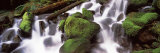 Cascading Waterfall in a Rainforest, Olympic National Park, Washington State, USA Lámina fotográfica por Panoramic Images Cascading Waterfall in a Rainforest, Olympic National Park, Washington State, USA Lámina fotográfica por Panoramic Images