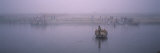 Boat in a River, Yamuna River, Vrindavan, Mathura District, Uttar Pradesh, India Lámina fotográfica por Panoramic Images