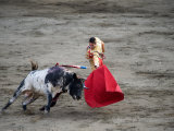 Matador and a Bull in a Bullring, Lima, Peru Photographic Print