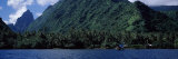 Trees on the Coast, Tahiti, French Polynesia Photographic Print by Panoramic Images 