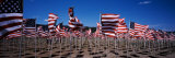 American Flags Laid Out in a Field, Questa, Taos County, New Mexico, USA Lámina fotográfica por Panoramic Images