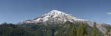 Trees in Front of Mountain, Mt Rainier, Mt Rainier National Park, Pierce County, Washington State Photographic Print by Panoramic Images 