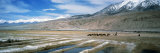 View of Salt Evaporation Pond, Muztagh Ata, Karakul Lake, Xinjiang Province, China Photographic Print by Panoramic Images 