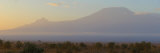 Mountains at Dawn View from Amboseli Park, Mt Kilimanjaro, Tanzania Fotografisk tryk af Panoramic Images Mountains at Dawn View from Amboseli Park, Mt Kilimanjaro, Tanzania Fotografisk tryk af Panoramic Images