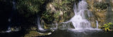 Waterfall in a Botanical Garden, Deshaies, Guadeloupe Photographic Print by Panoramic Images 