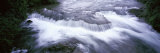 River Flowing Along a Forest, Niagara River, Three Sisters Islands, Niagara Falls, New York State,  Photographic Print by Panoramic Images 