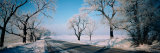 Road Passing Through Winter Fields, Illinois, USA Lámina fotográfica por Panoramic Images Road Passing Through Winter Fields, Illinois, USA Lámina fotográfica por Panoramic Images