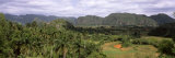 Trees with Mountain Range in Back, Valle De Vinales, Pinar Del Rio Province, Cuba Lámina fotográfica por Panoramic Images Trees with Mountain Range in Back, Valle De Vinales, Pinar Del Rio Province, Cuba Lámina fotográfica por Panoramic Images