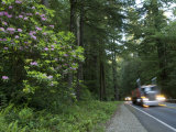 Vehicle on a Highway, Us Route 199, Del Norte County, California, USA Photographic Print