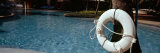 Life Belt Hanging on a Tree Trunk, El San Juan Hotel and Casino, San Juan, Puerto Rico Photographic Print by Panoramic Images 