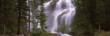 Waterfall in a Forest, Banff, Alberta, Canada Photographic Print by Panoramic Images 
