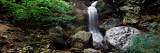 Eden Falls, Lost Valley State Park, Ozark National Forest and Mountains, Arkansas Photographic Print by Panoramic Images 