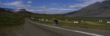 Boy Riding a Bicycle on a Road, Iceland Photographic Print by Panoramic Images 