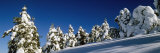 Snow Covered Fir and Larch Trees on a Landscape, French Riviera, Provence-Alpes-Cote D'Azur, France Fotografie-Druck von Panoramic Images 