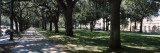 Trees in a Park, Riverfront Park, Savannah, Chatham County, Georgia, USA Photographic Print by Panoramic Images 